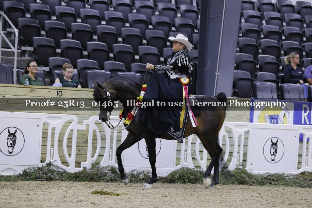 Proof 25R13_01465