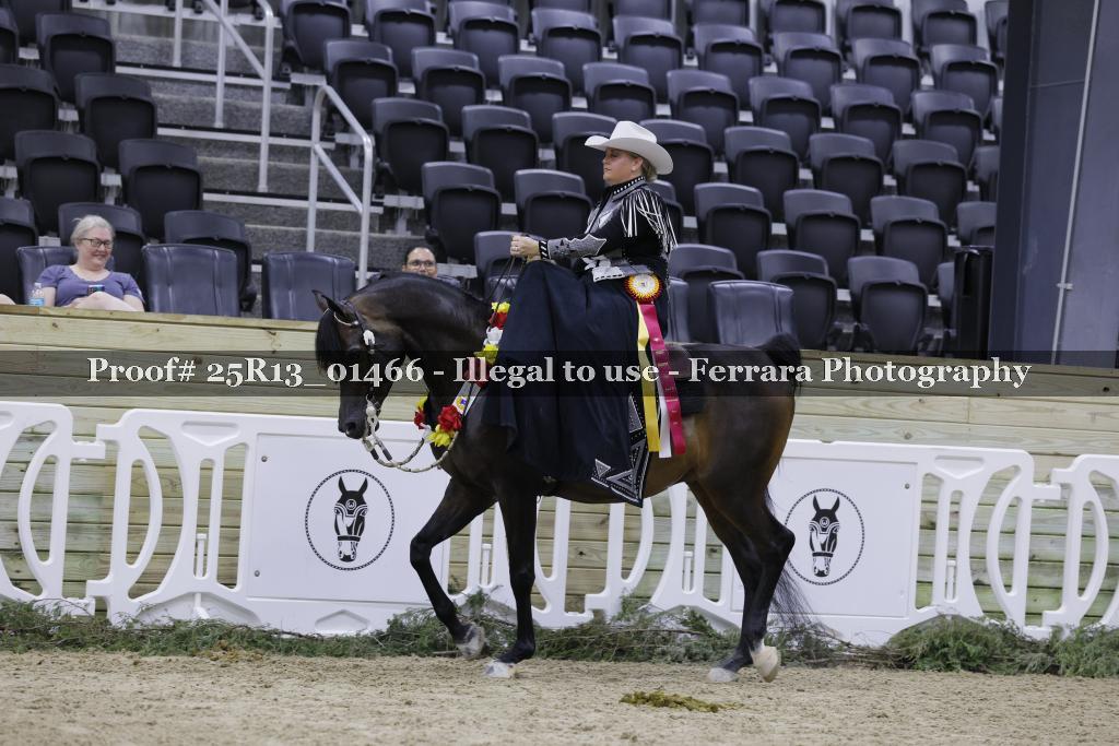 Proof 25R13_01466