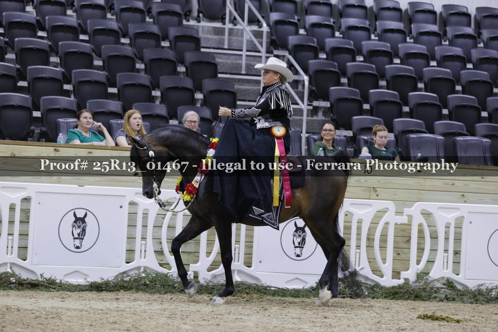 Proof 25R13_01467