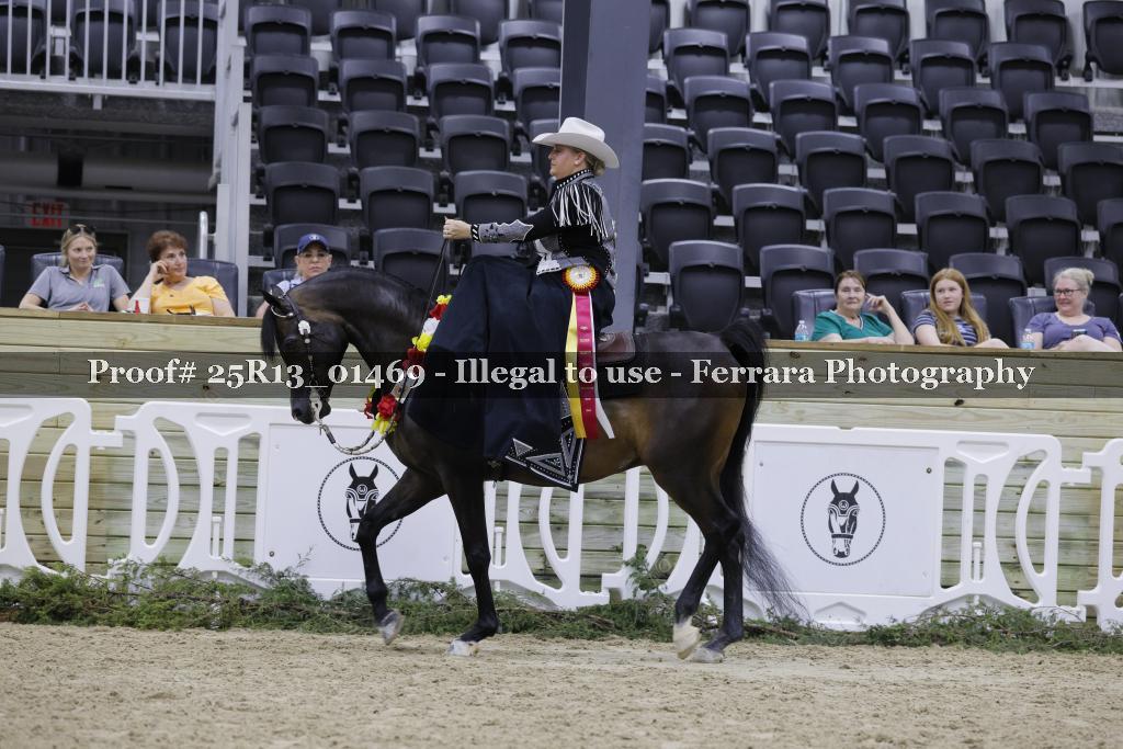 Proof 25R13_01469