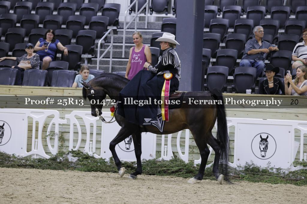 Proof 25R13_01472