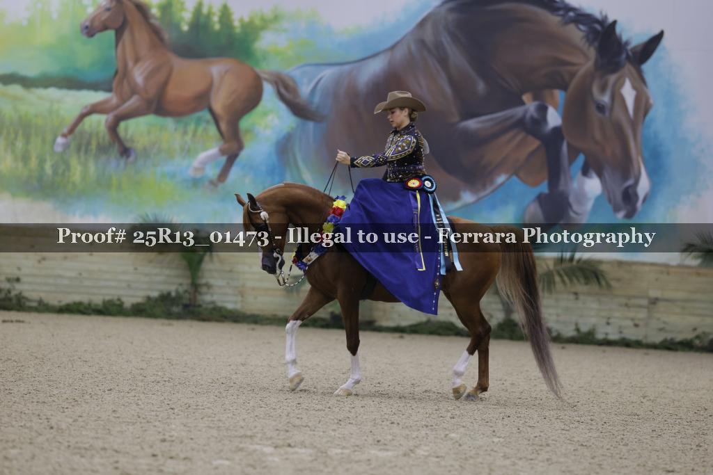 Proof 25R13_01473