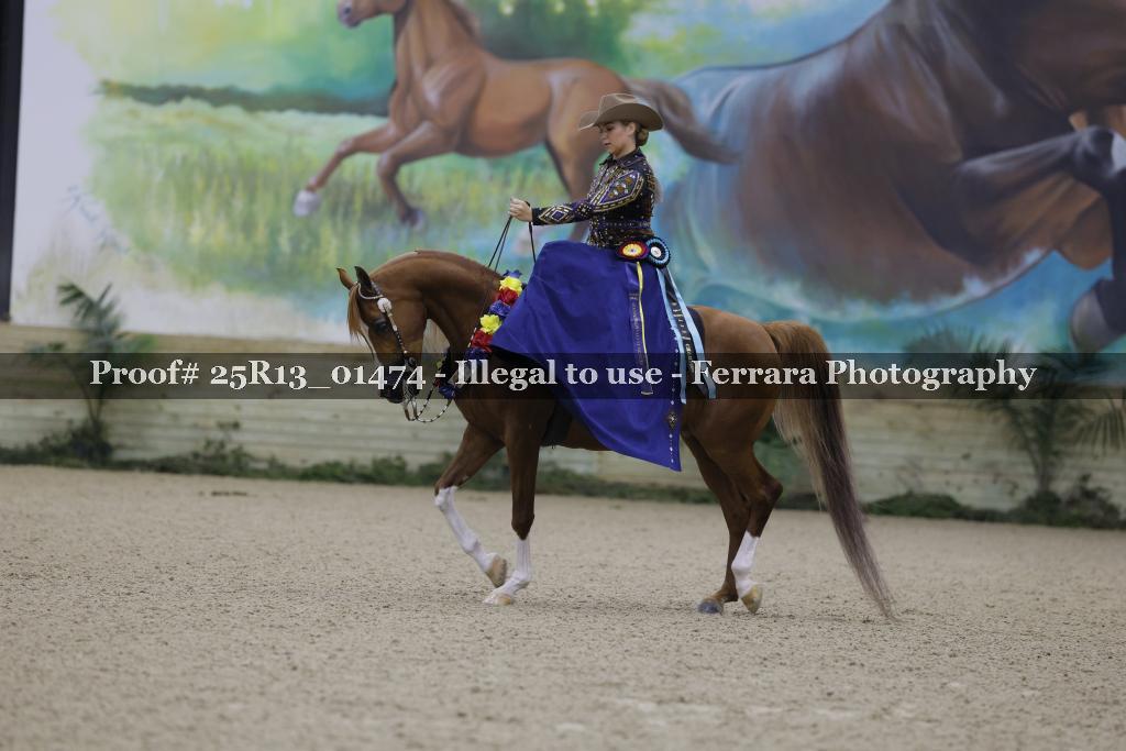 Proof 25R13_01474