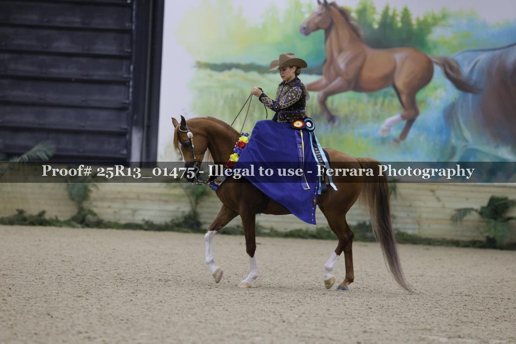 Proof 25R13_01475