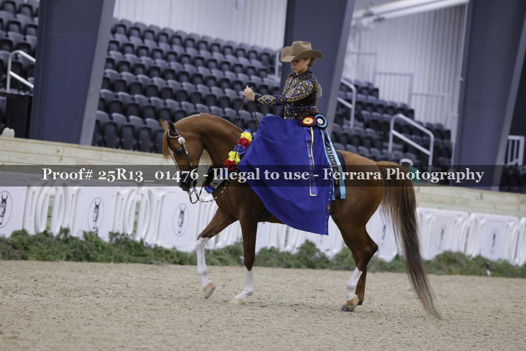 Proof 25R13_01476