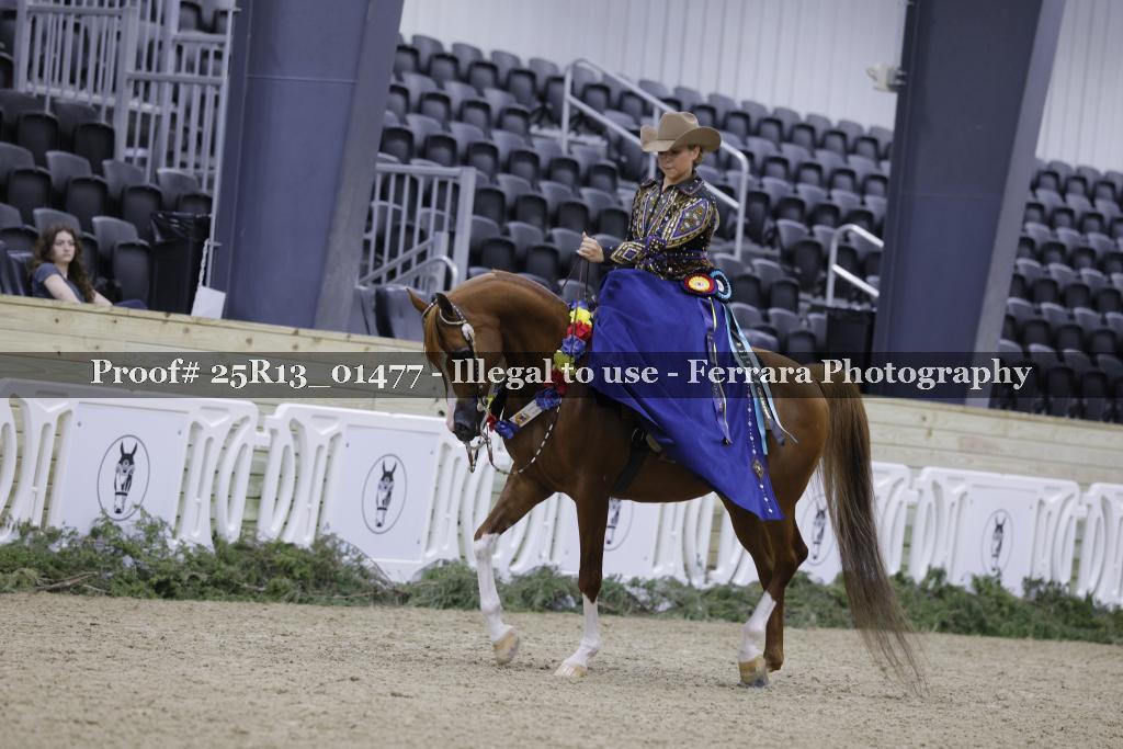 Proof 25R13_01477