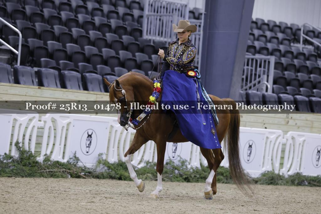 Proof 25R13_01478