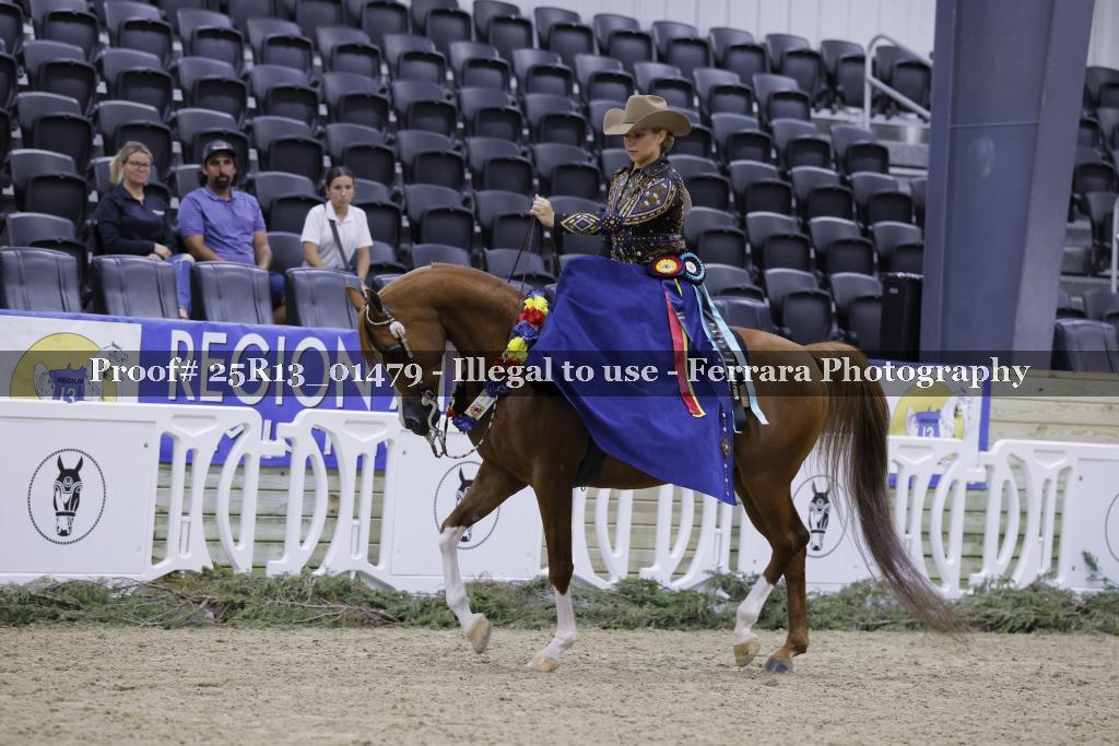 Proof 25R13_01479