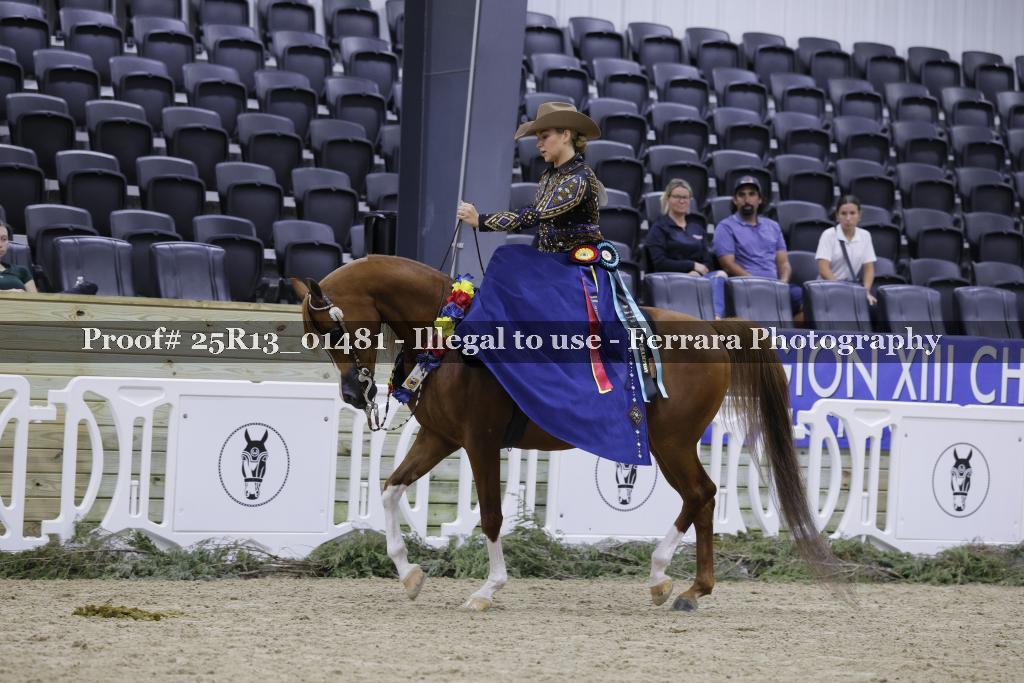 Proof 25R13_01481