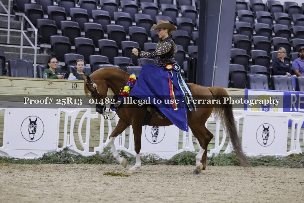 Proof 25R13_01482