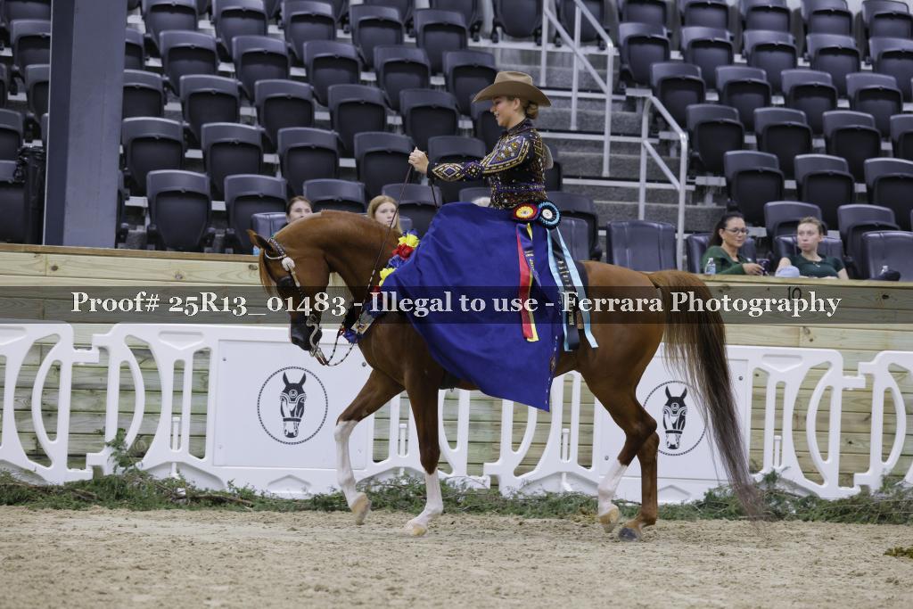 Proof 25R13_01483