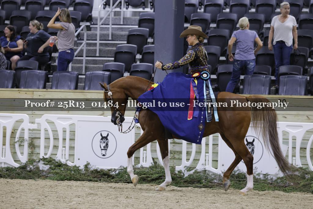 Proof 25R13_01484