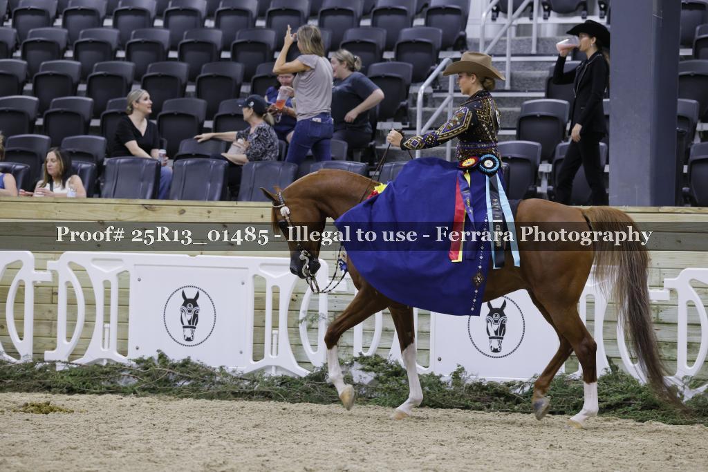 Proof 25R13_01485