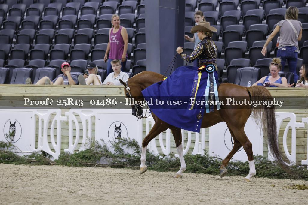 Proof 25R13_01486