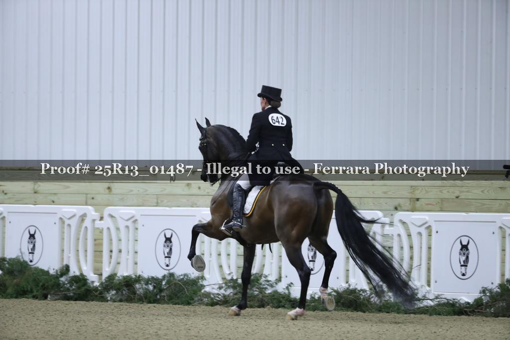 Proof 25R13_01487