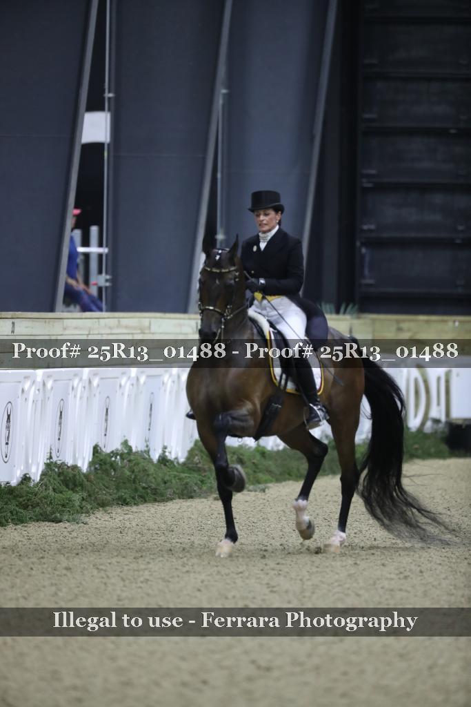 Proof 25R13_01488