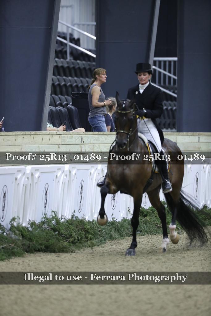 Proof 25R13_01489