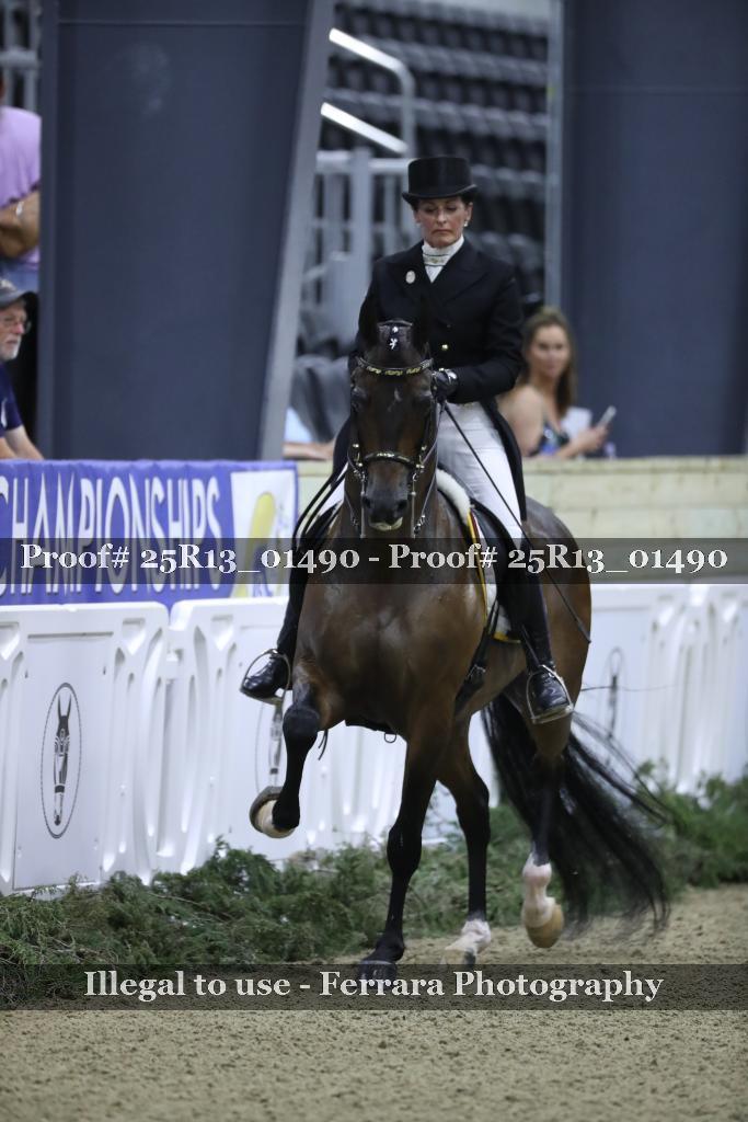 Proof 25R13_01490