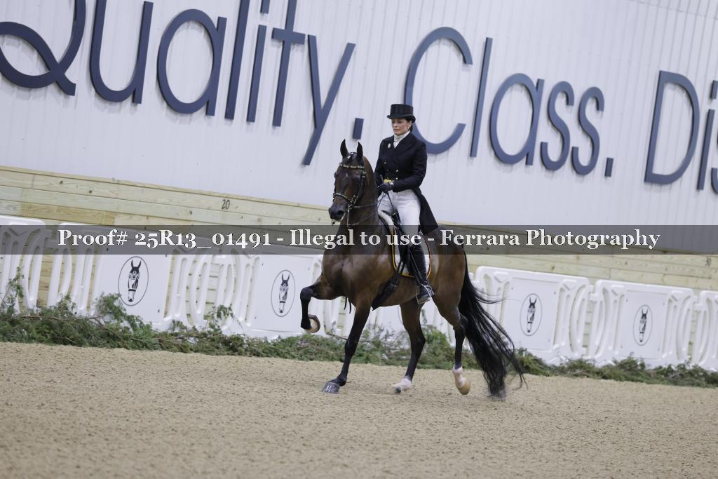 Proof 25R13_01491