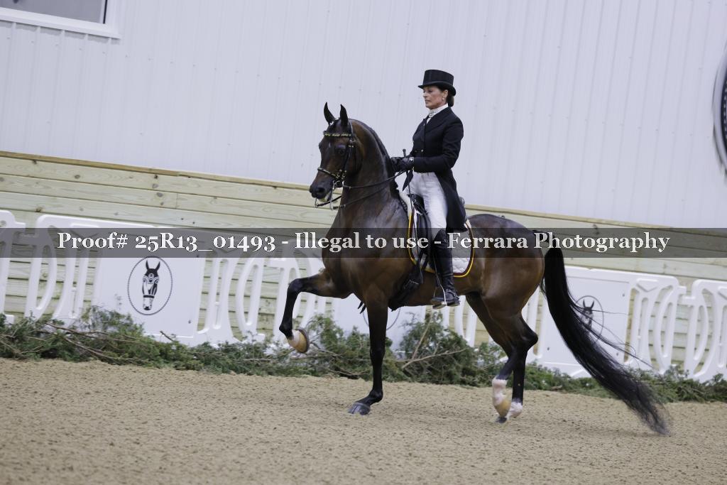 Proof 25R13_01493