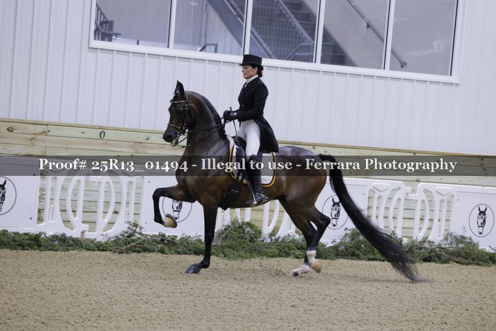 Proof 25R13_01494