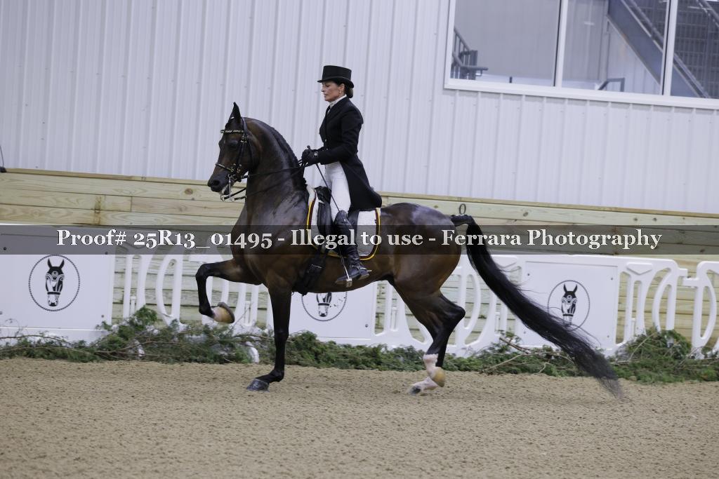 Proof 25R13_01495