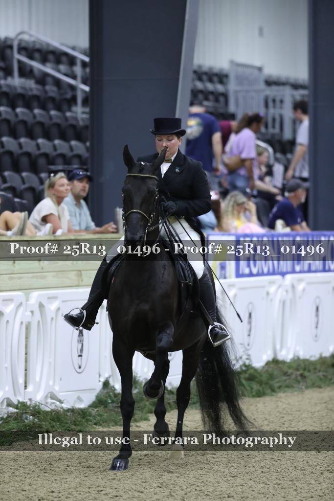 Proof 25R13_01496