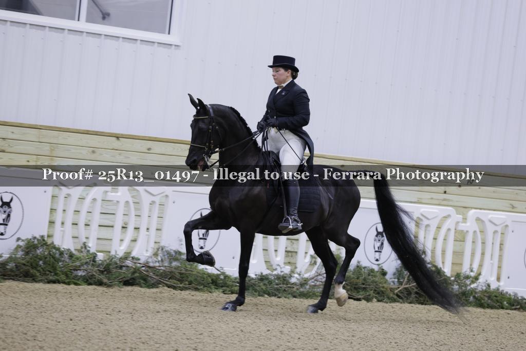 Proof 25R13_01497