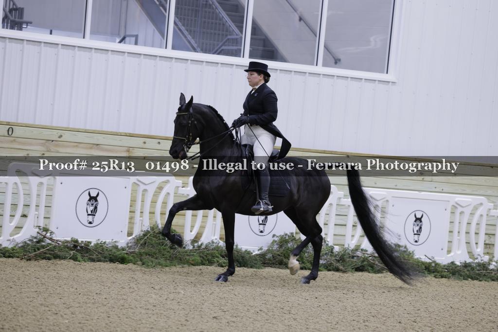 Proof 25R13_01498