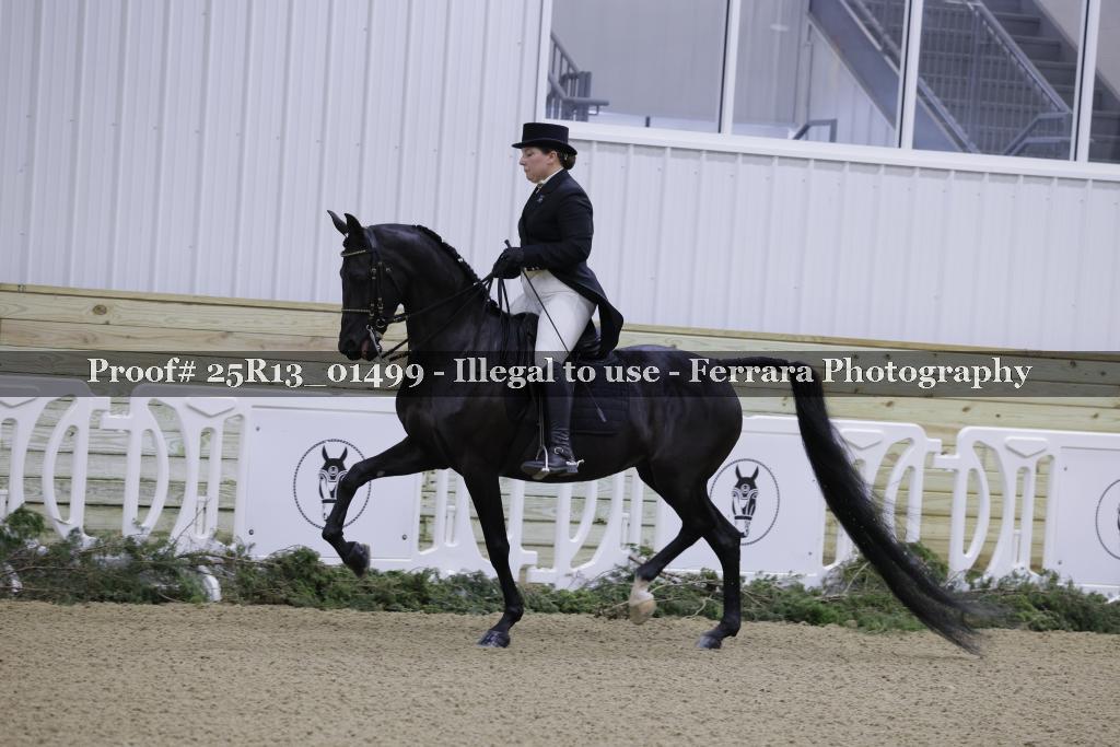 Proof 25R13_01499