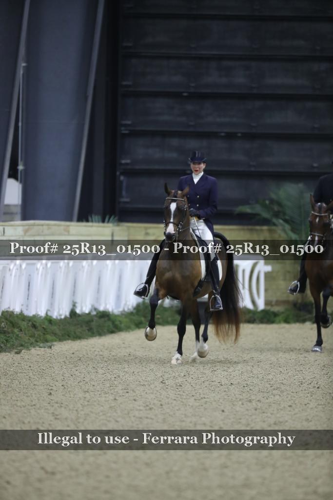 Proof 25R13_01500