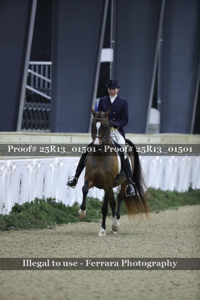 Proof 25R13_01501