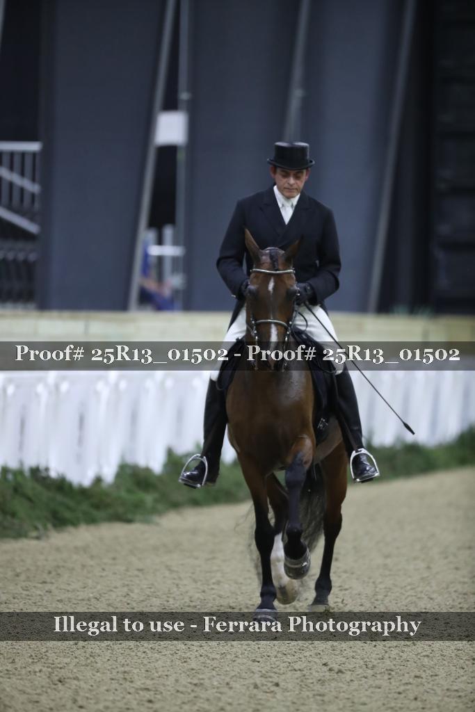 Proof 25R13_01502