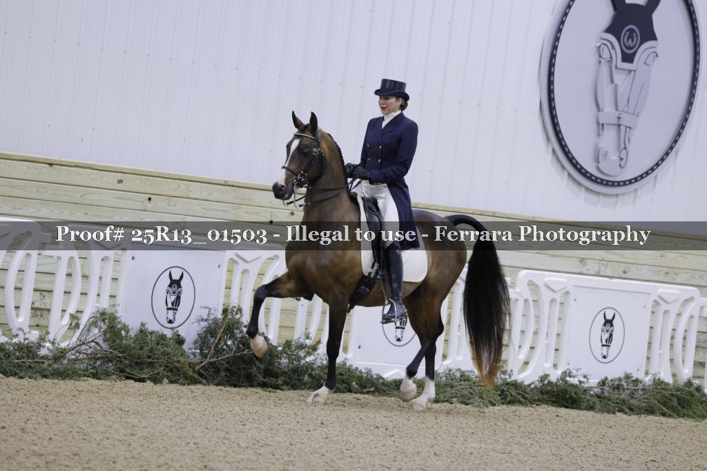 Proof 25R13_01503