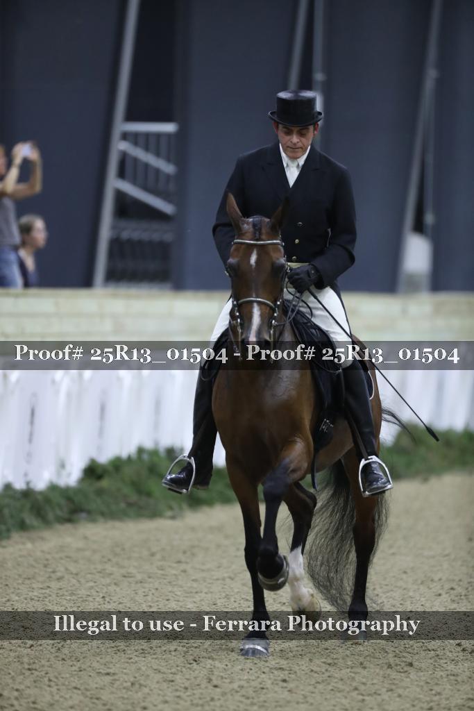 Proof 25R13_01504