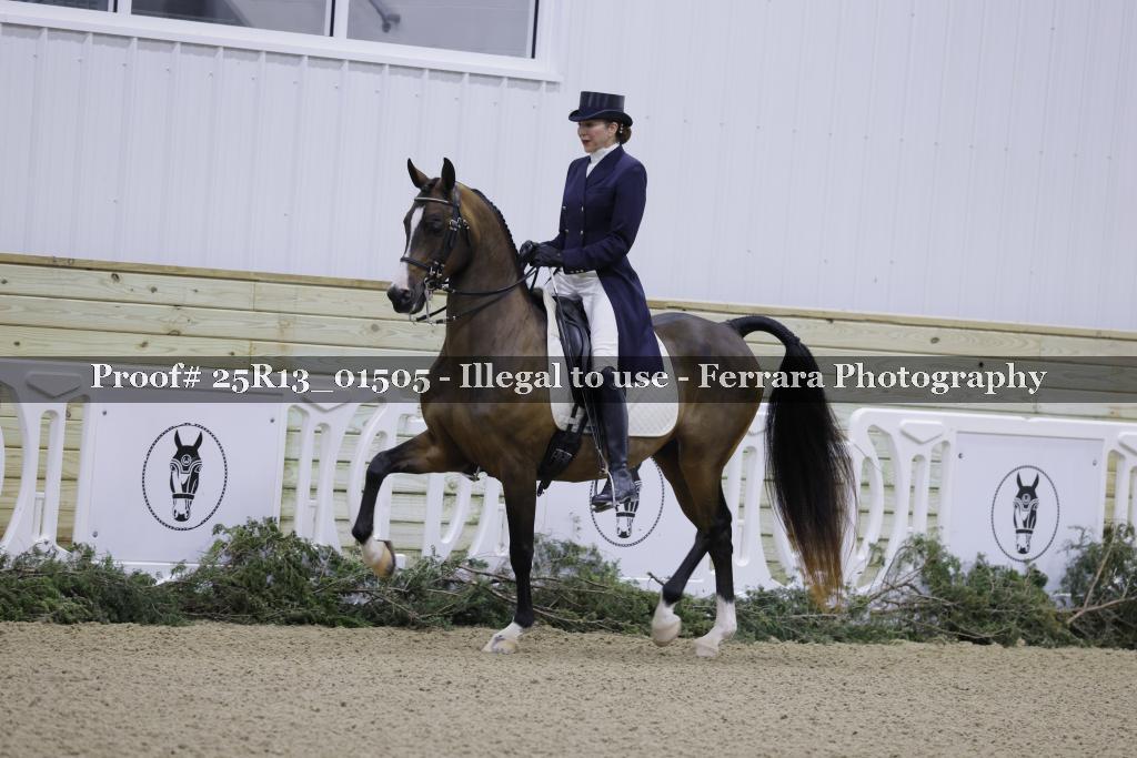 Proof 25R13_01505