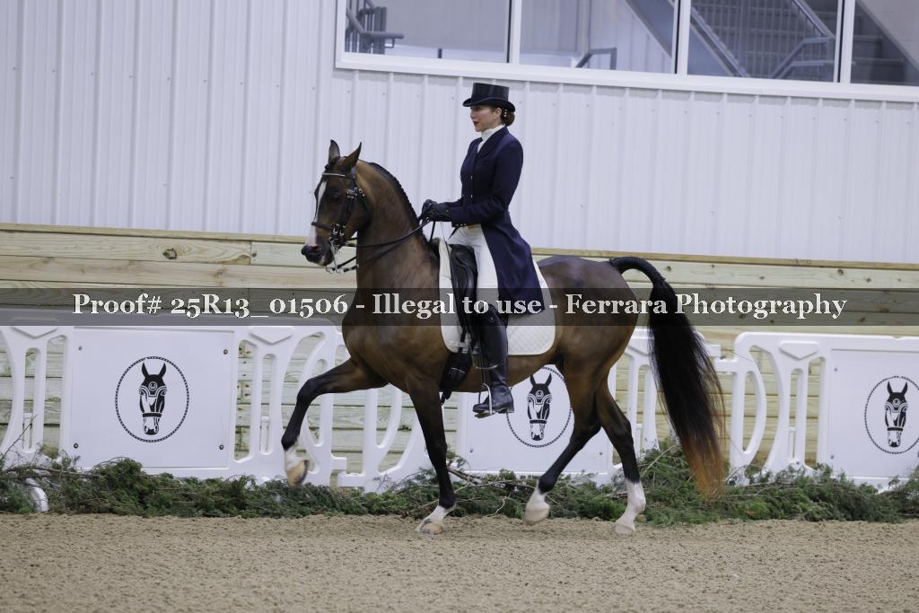 Proof 25R13_01506