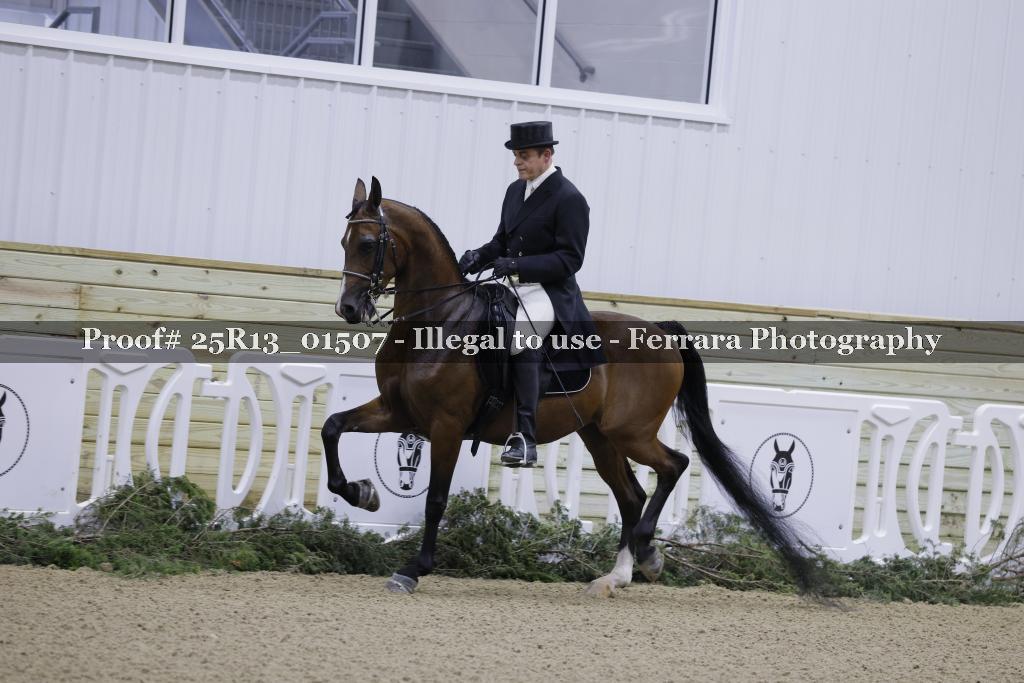 Proof 25R13_01507