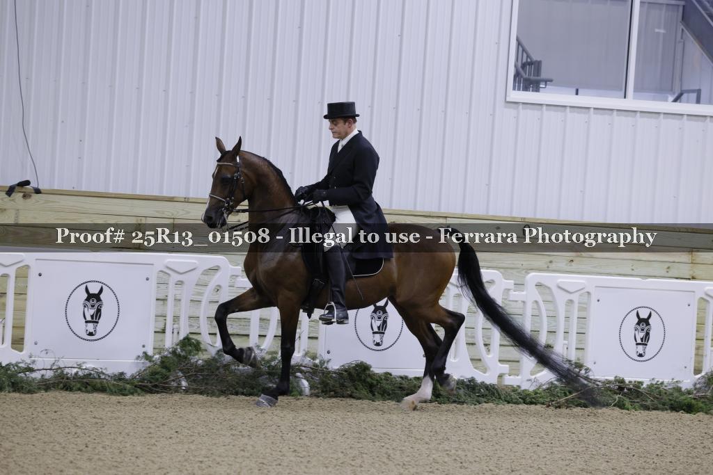 Proof 25R13_01508
