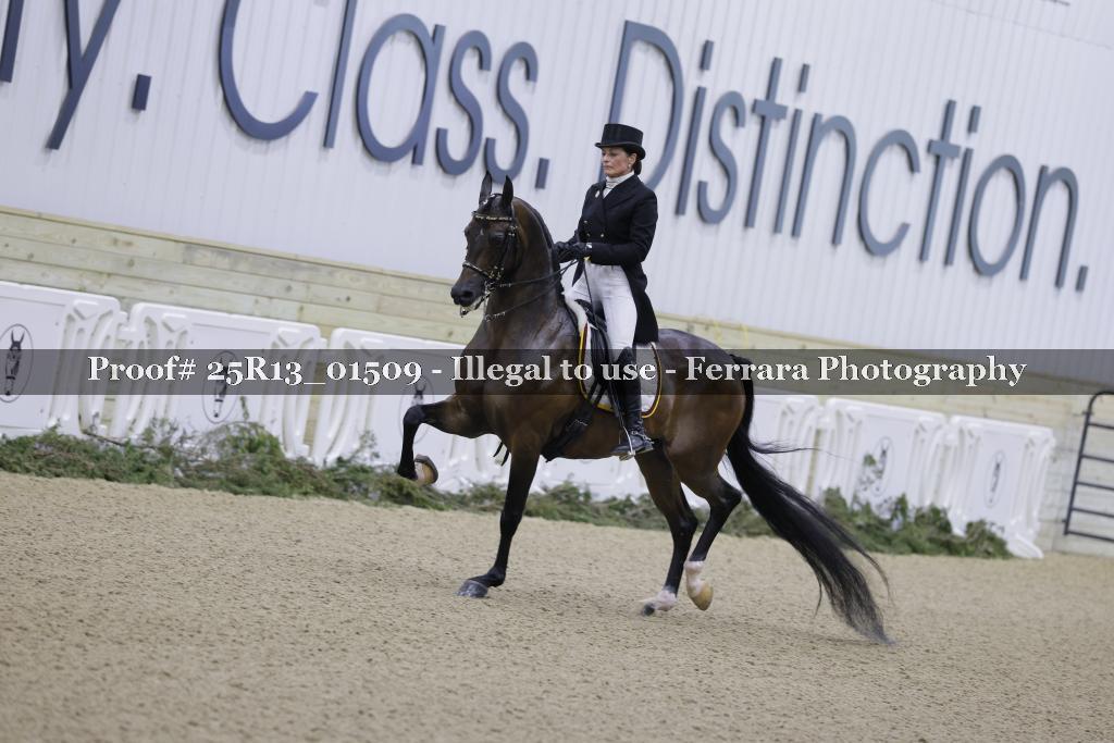 Proof 25R13_01509