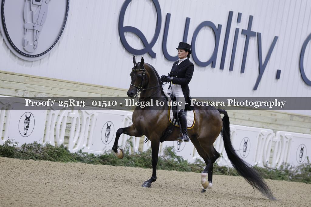Proof 25R13_01510