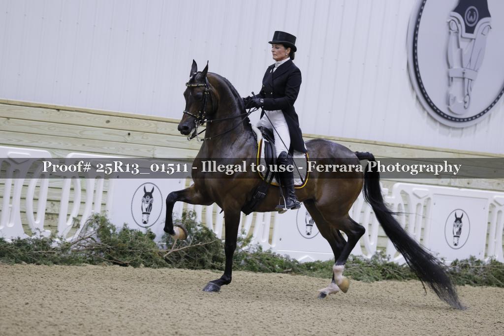 Proof 25R13_01511