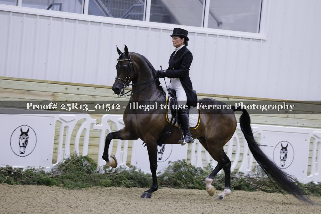 Proof 25R13_01512