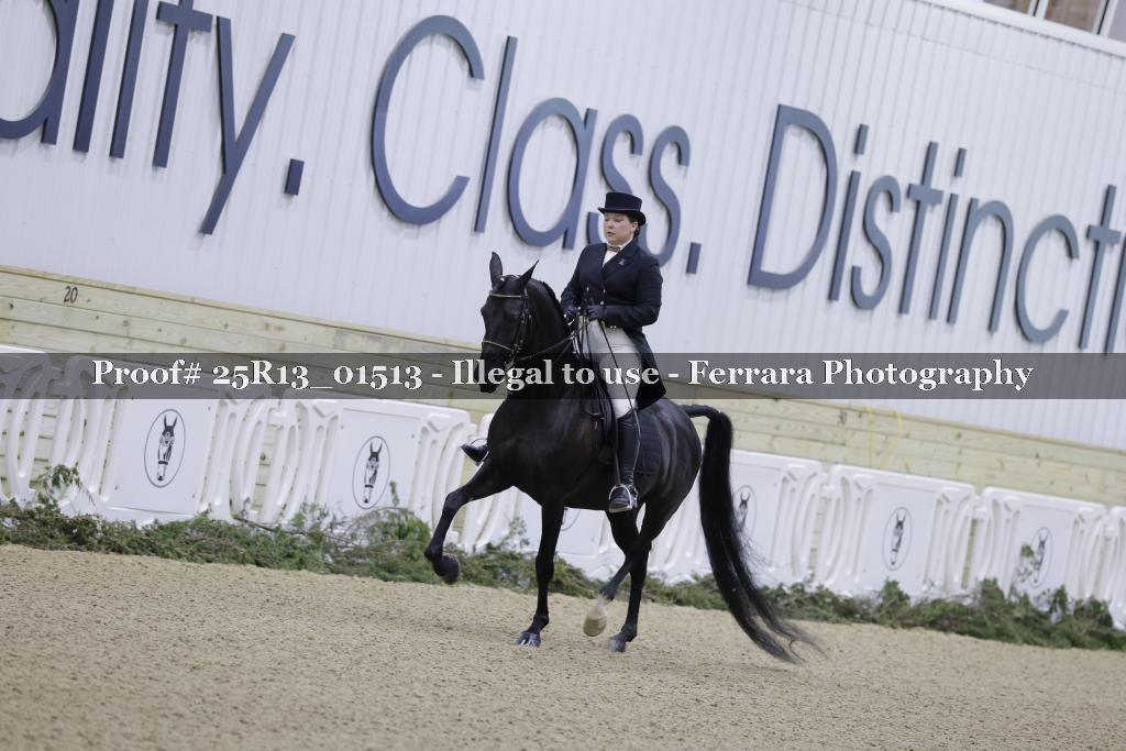Proof 25R13_01513