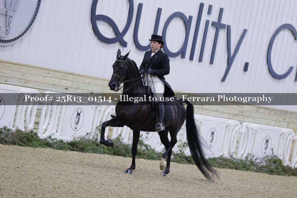 Proof 25R13_01514