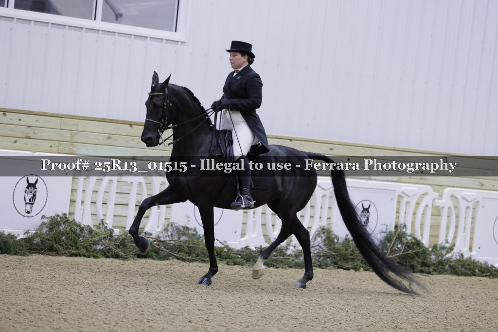 Proof 25R13_01515