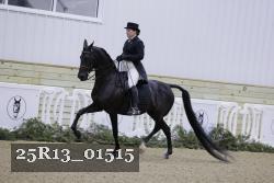 25R13_01515 proof