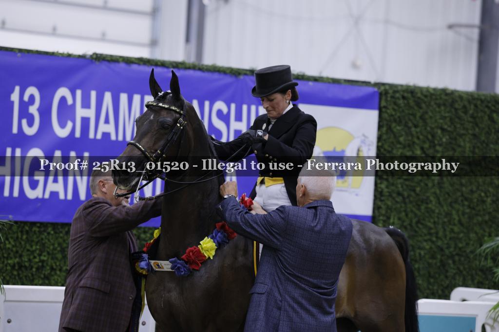 Proof 25R13_01520