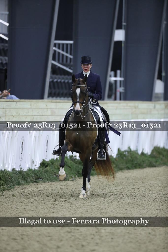 Proof 25R13_01521