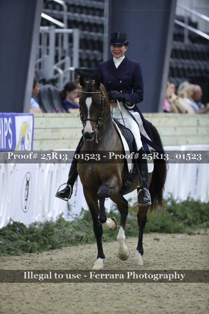 Proof 25R13_01523